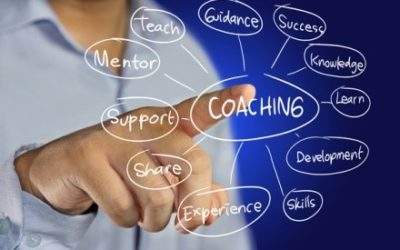 Executive Coaching: Why?