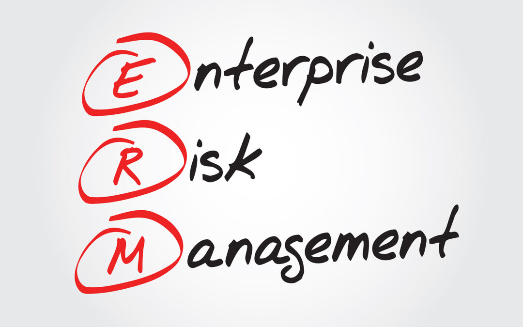 Why a Not-for-Profit Organization Should Have an Enterprise Risk Management Plan