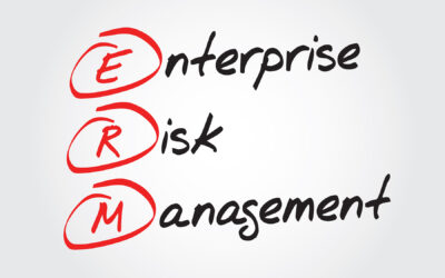 Why a Not-for-Profit Organization Should Have an Enterprise Risk Management Plan